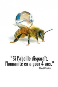 abeille_disparition